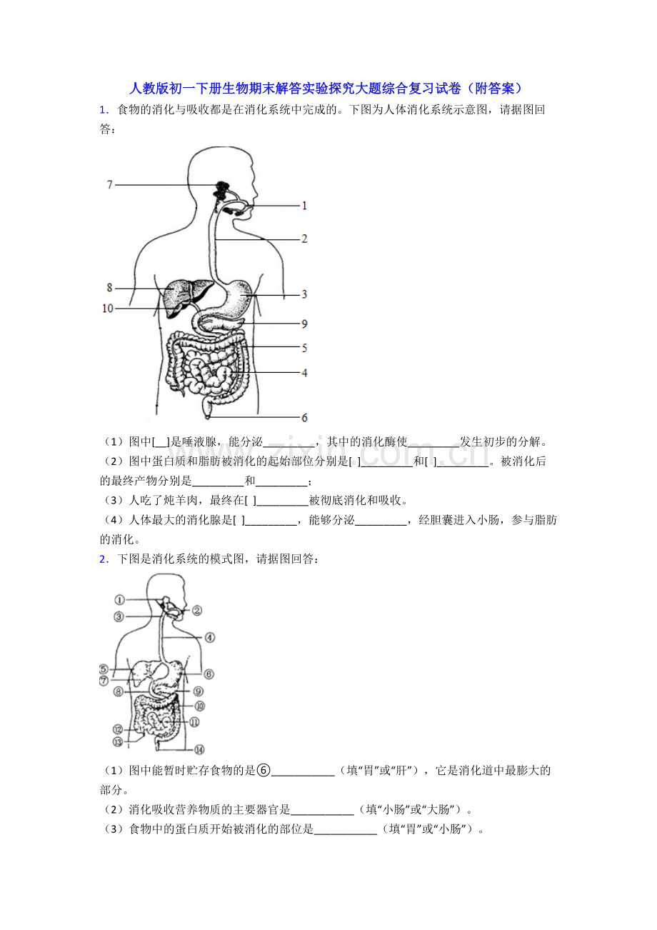 人教版初一下册生物期末解答实验探究大题综合复习试卷(附答案).doc_第1页