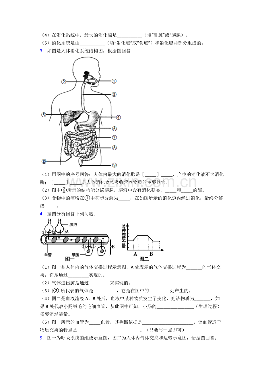 人教版初一下册生物期末解答实验探究大题综合复习试卷(附答案).doc_第2页