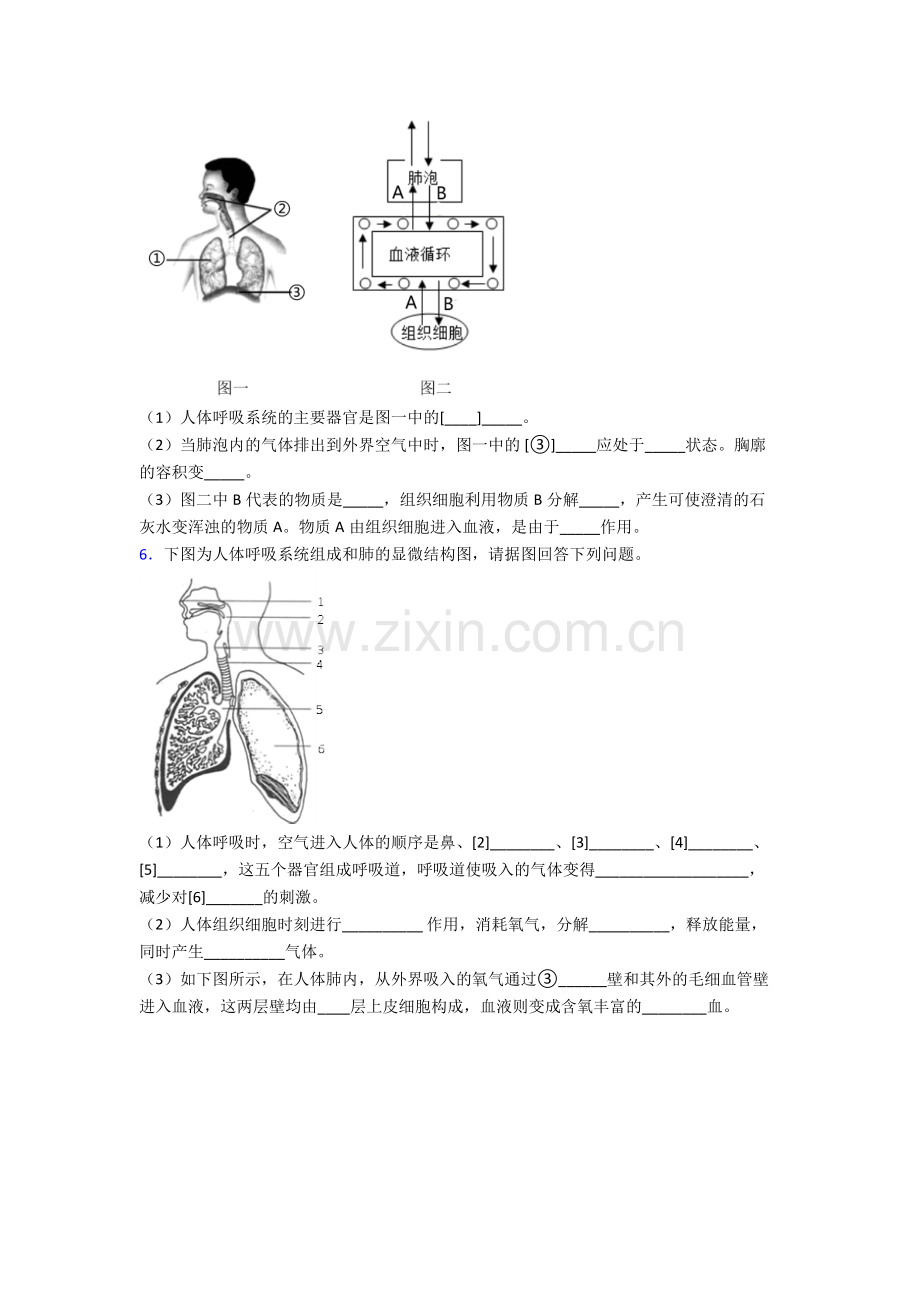 人教版初一下册生物期末解答实验探究大题综合复习试卷(附答案).doc_第3页