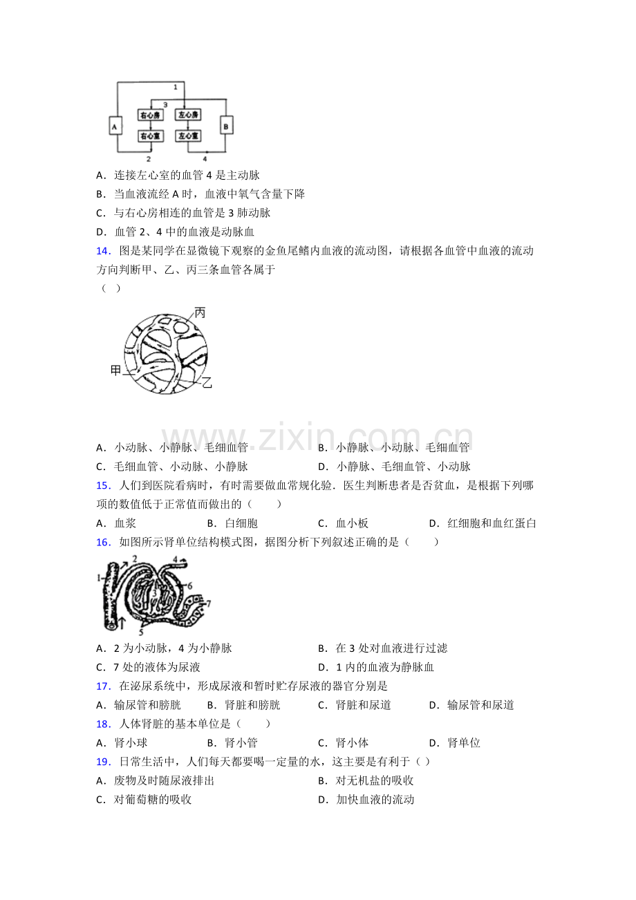 人教版中学七年级生物下册期中学业水平附解析.doc_第3页