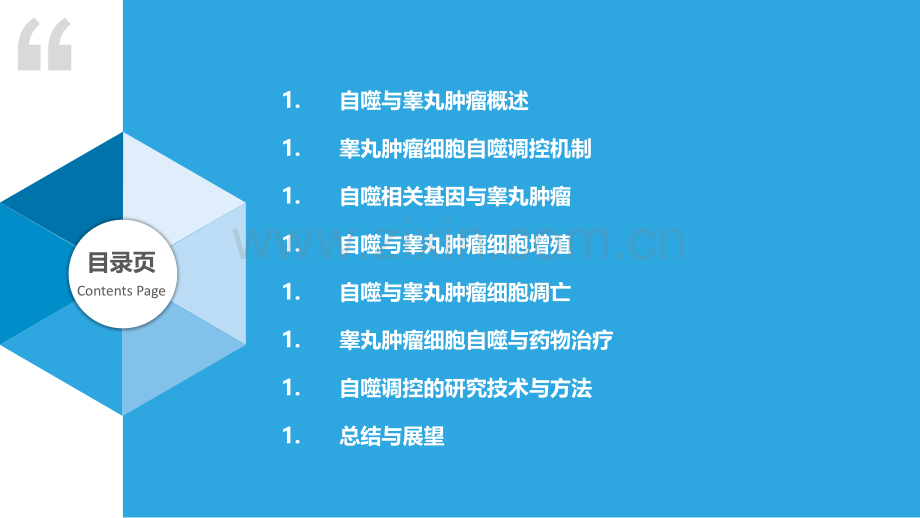 睾丸肿瘤细胞自噬调控研究.pptx_第2页