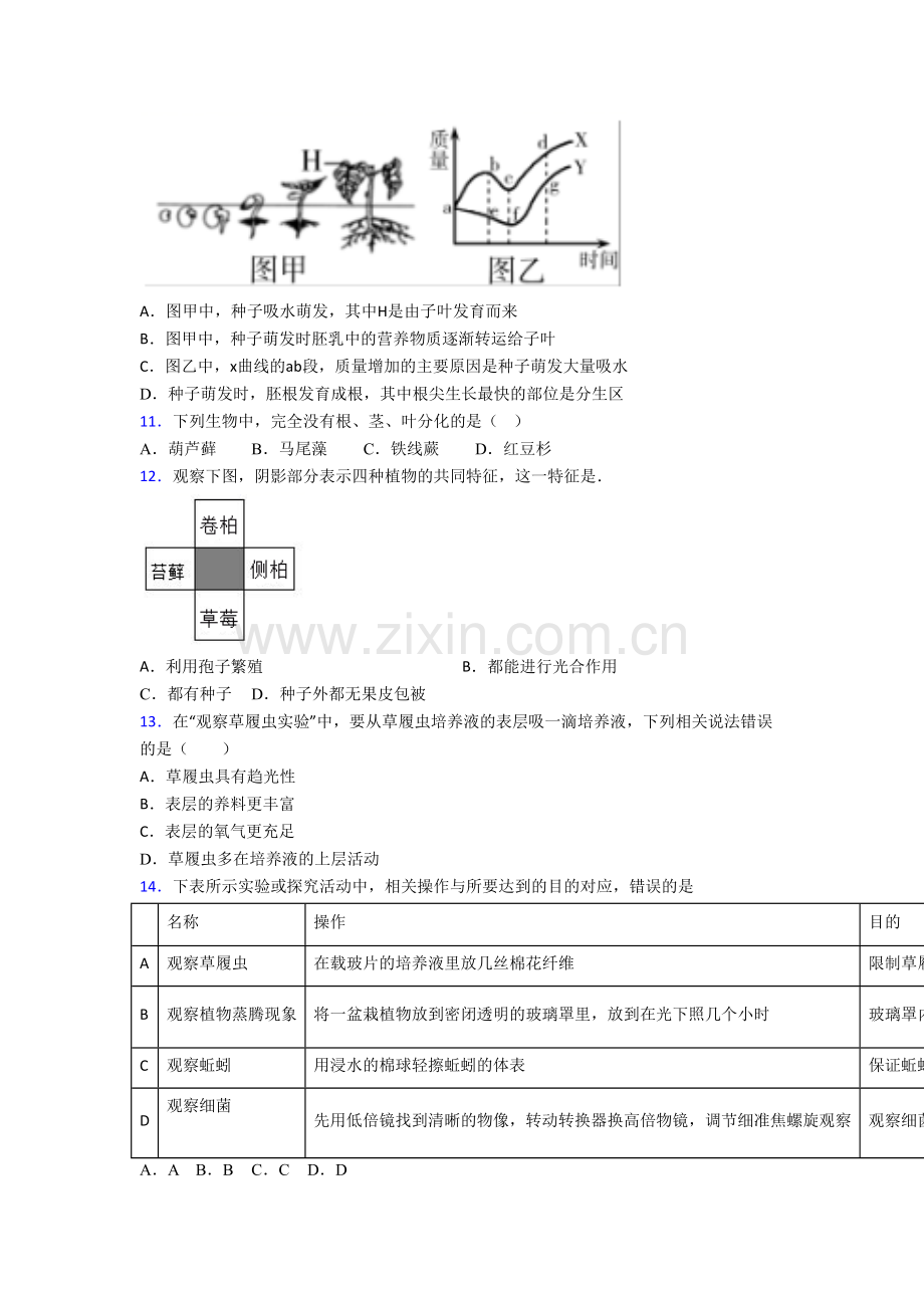 生物七年级上册期末模拟检测试题带答案-(2).doc_第3页