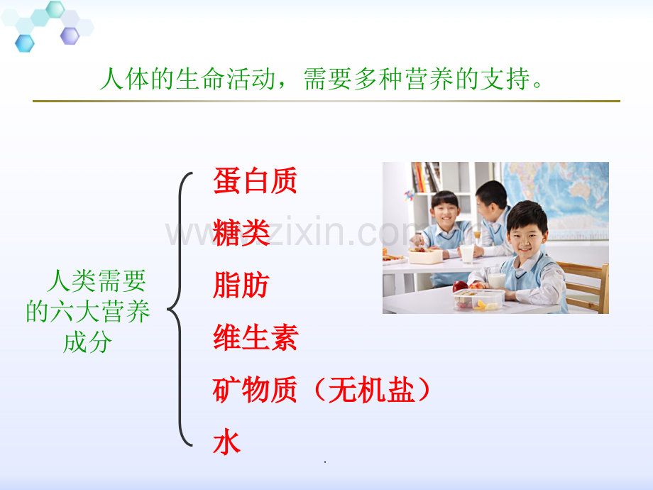 新教材粤教版六年级科学《我们需要食物》.ppt_第3页