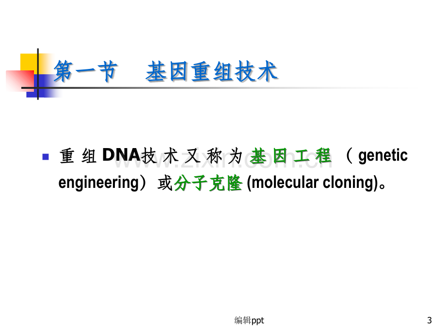 基因重组与分子生物学技术.ppt_第3页