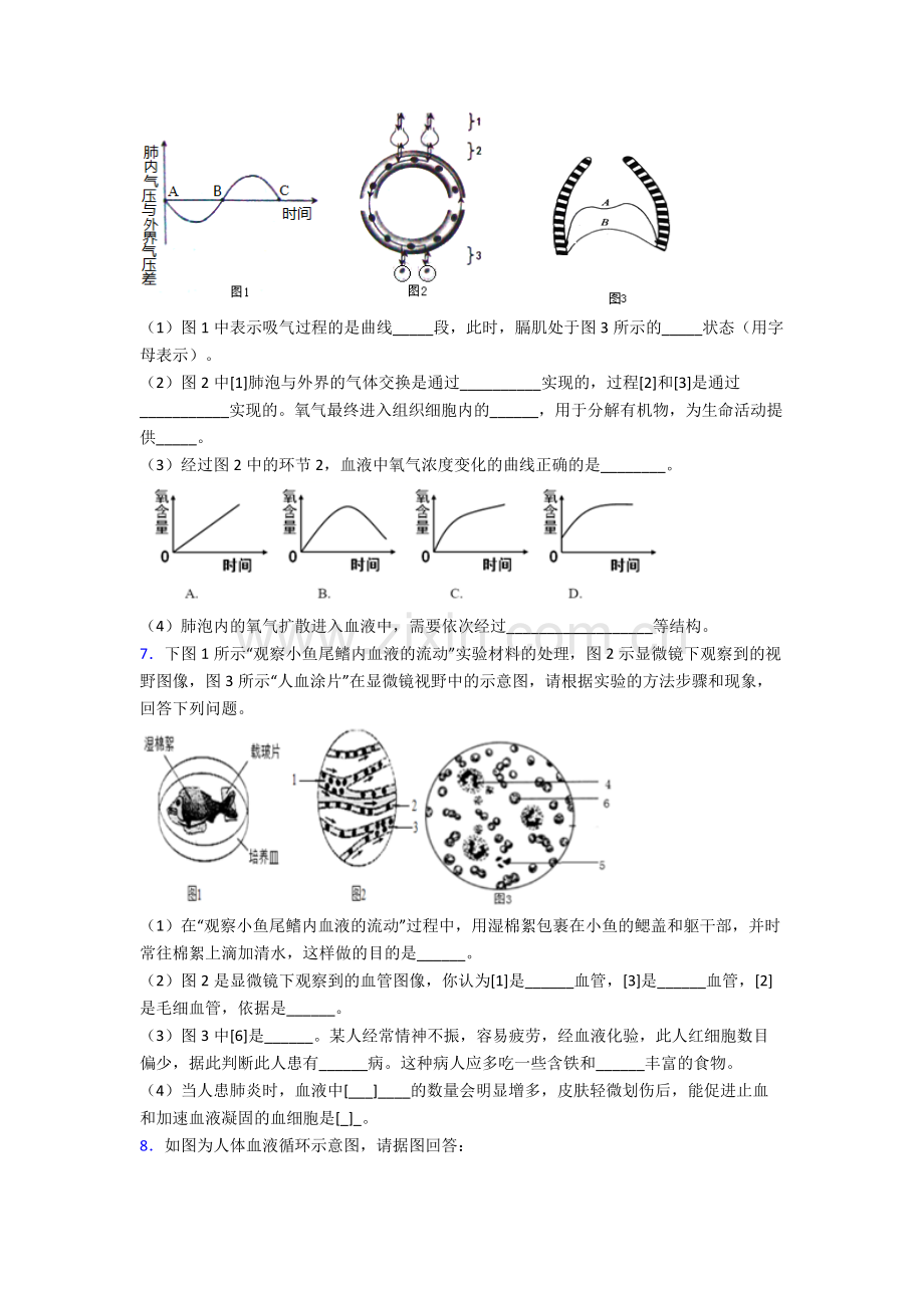 2023年人教版初一下册生物期末解答实验探究大题学业水平卷(含解析)优秀.doc_第3页