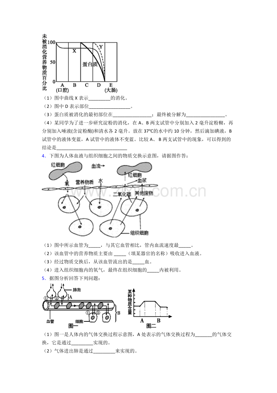 2023年人教版初一下册生物期末解答实验探究大题复习(及解析)完整.doc_第2页