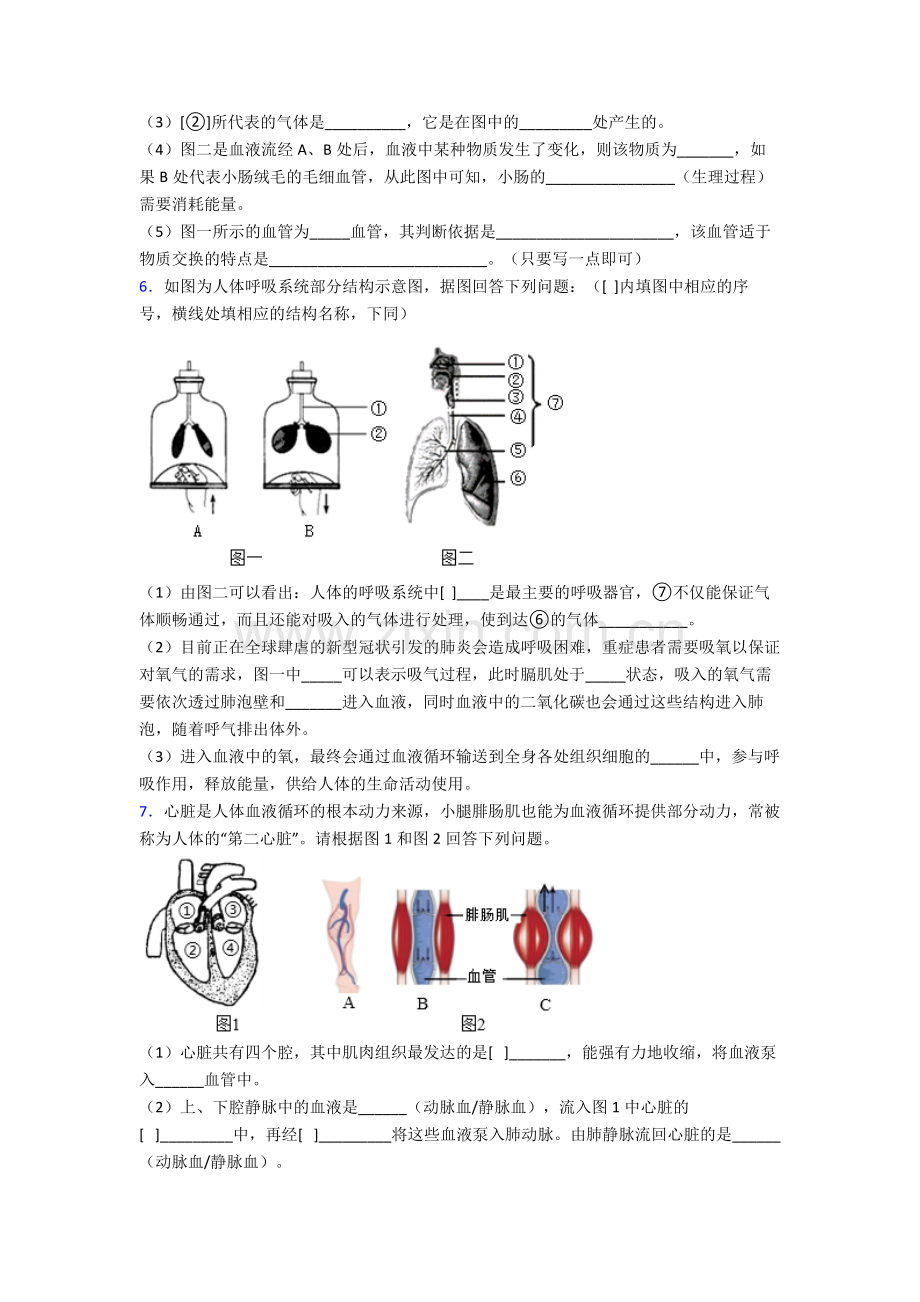 2023年人教版初一下册生物期末解答实验探究大题复习(及解析)完整.doc_第3页