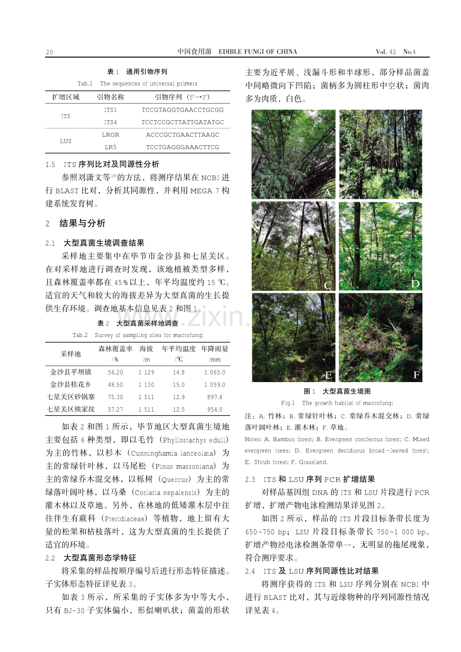 贵州省毕节地区大型真菌资源调查及亲缘关系分析.pdf_第3页