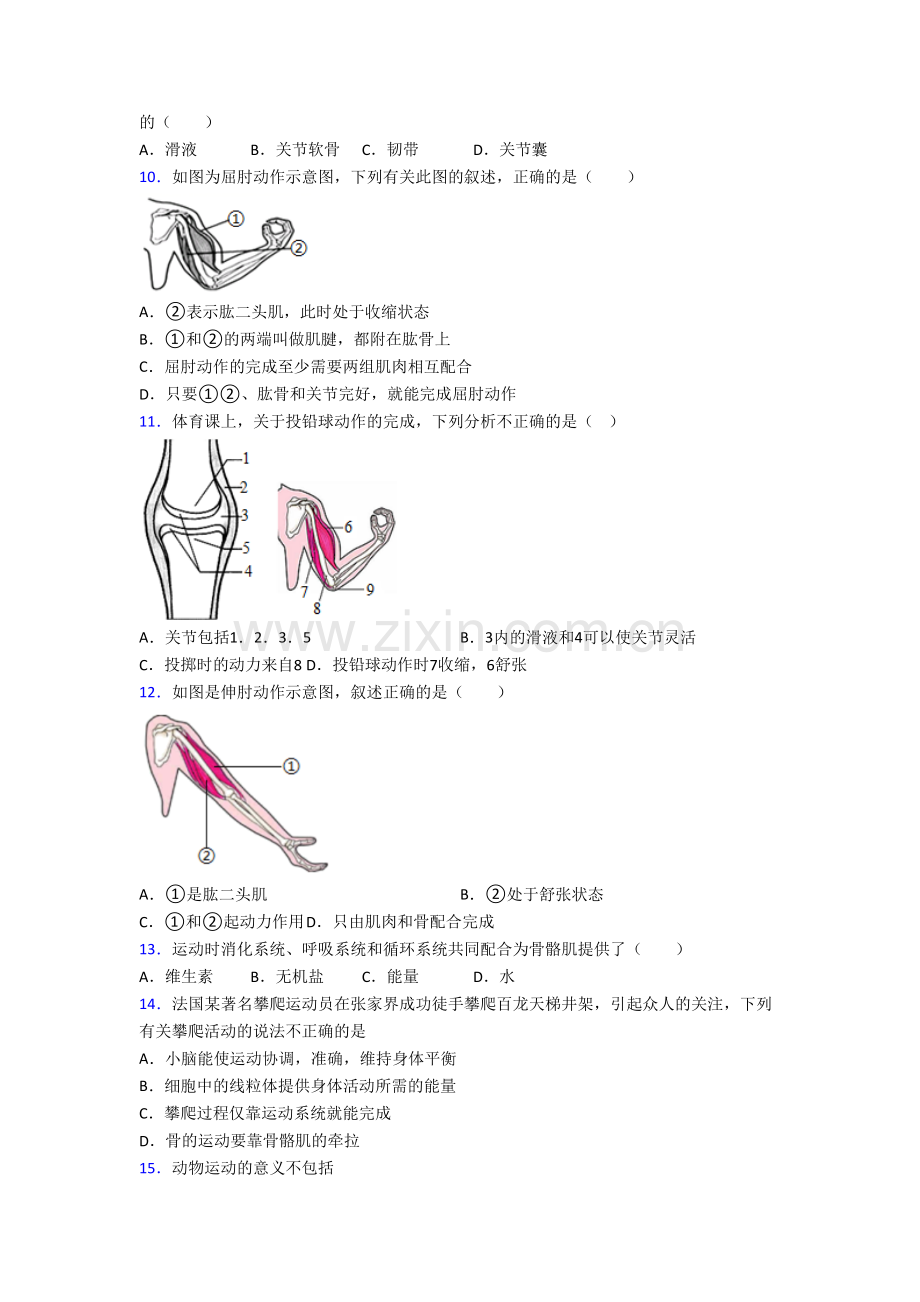 上海晋元高级中学附属学校八年级上册期末生物试卷含答案.doc_第2页