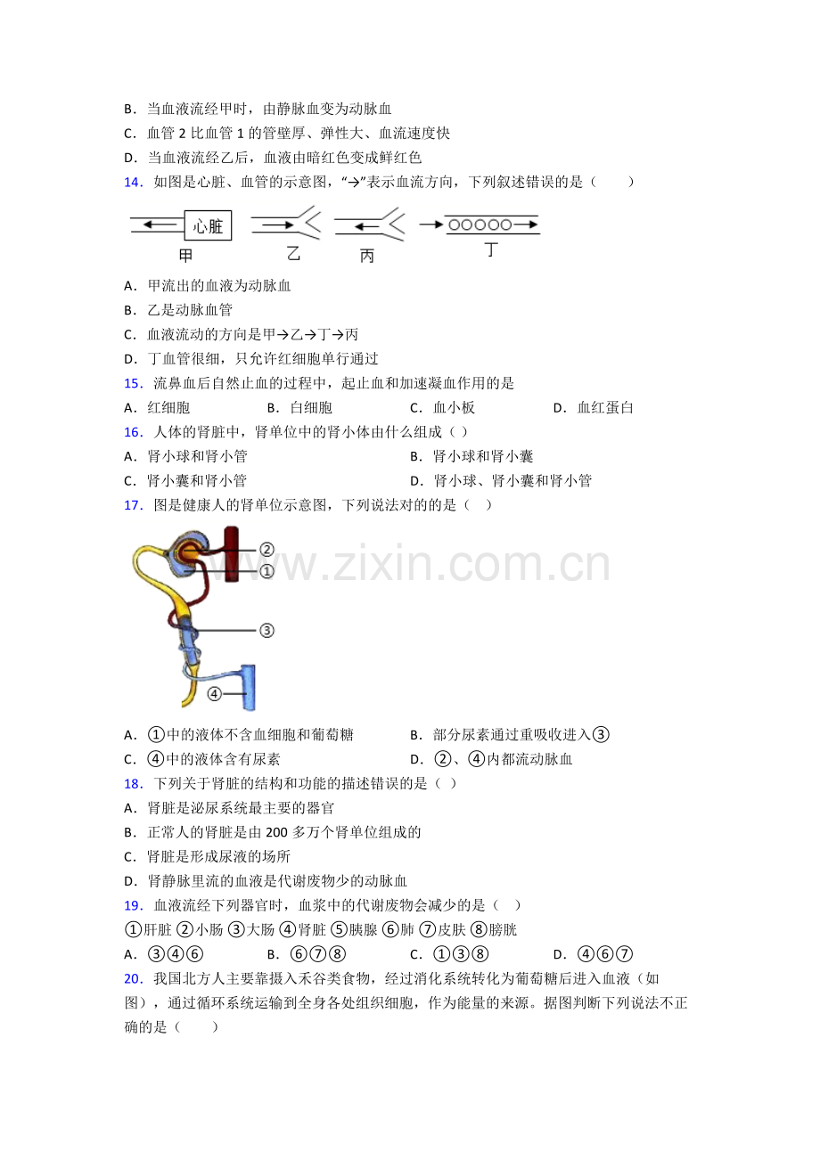 人教版七年级生物下册期中复习(附解析).doc_第3页