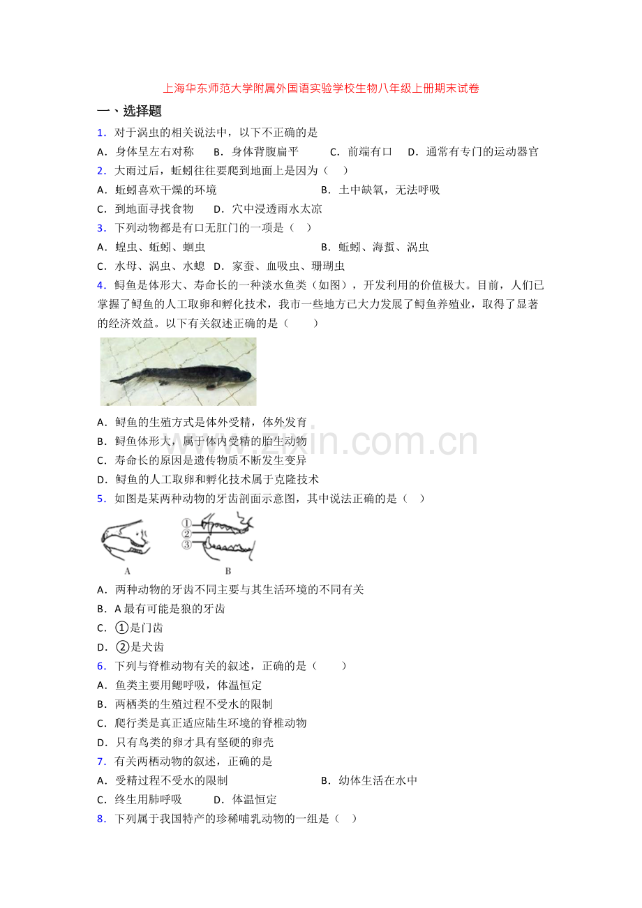 上海华东师范大学附属外国语实验学校生物八年级上册期末试卷.doc_第1页