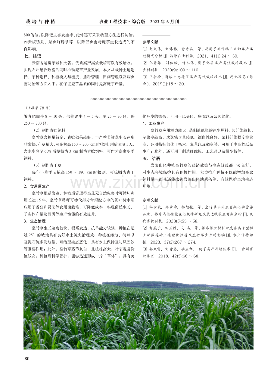 贵州省紫云县岩溶山区皇竹草栽培与利用技术要点.pdf_第2页