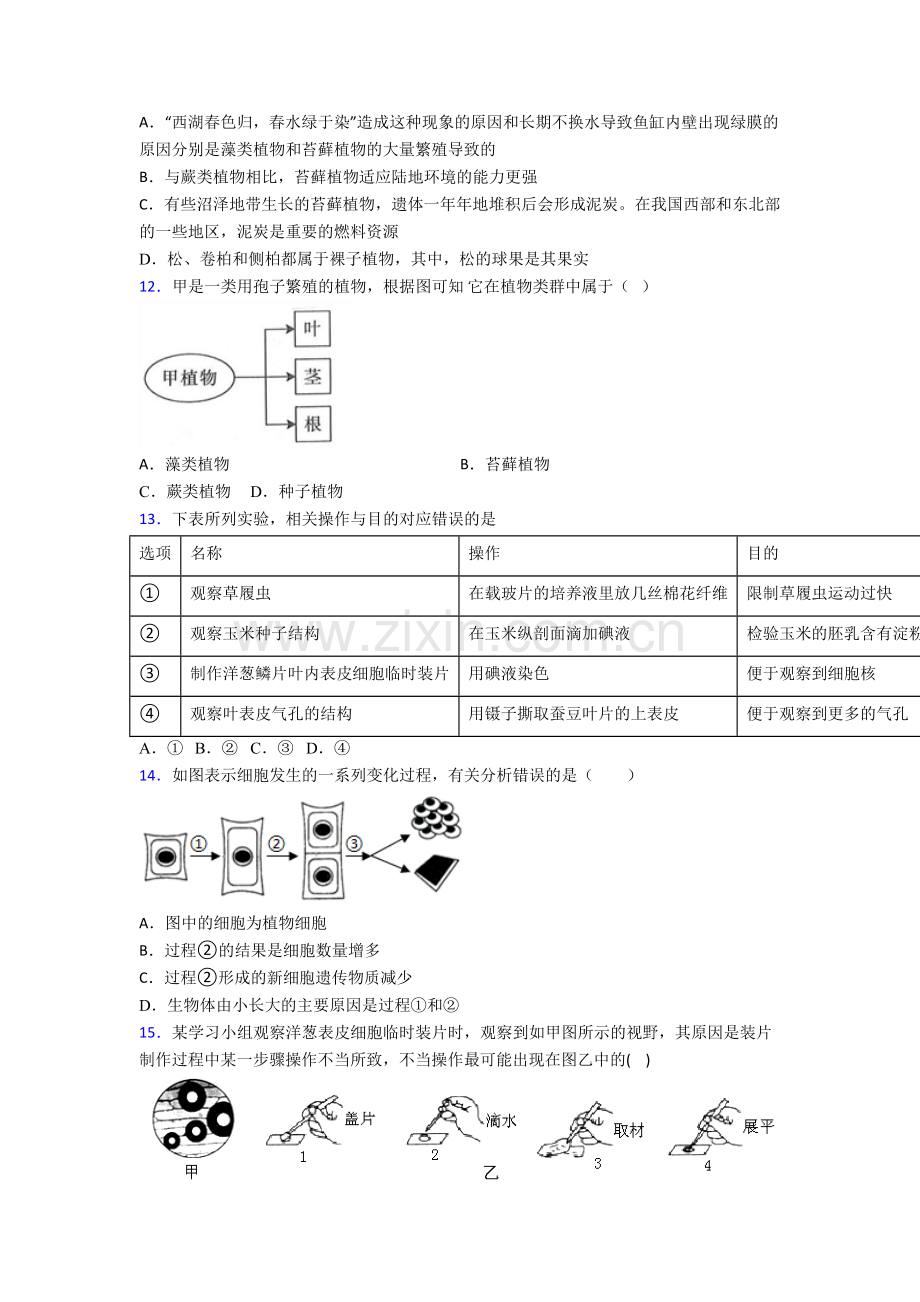 天津市南开翔宇学校七年级上册期末生物试卷.doc_第3页