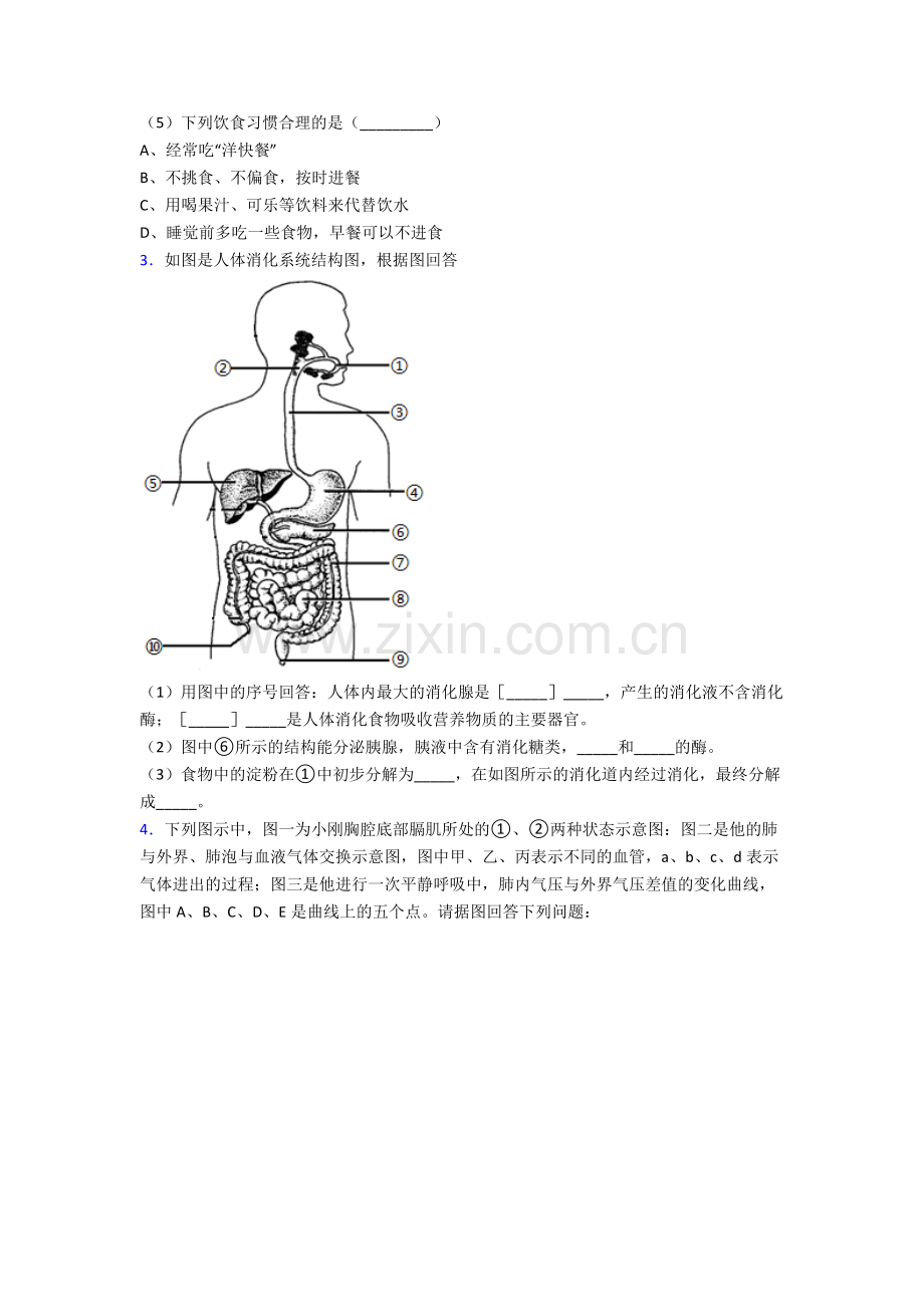 2023年人教版中学初一下册生物期末解答实验探究大题试卷(及解析).doc_第2页