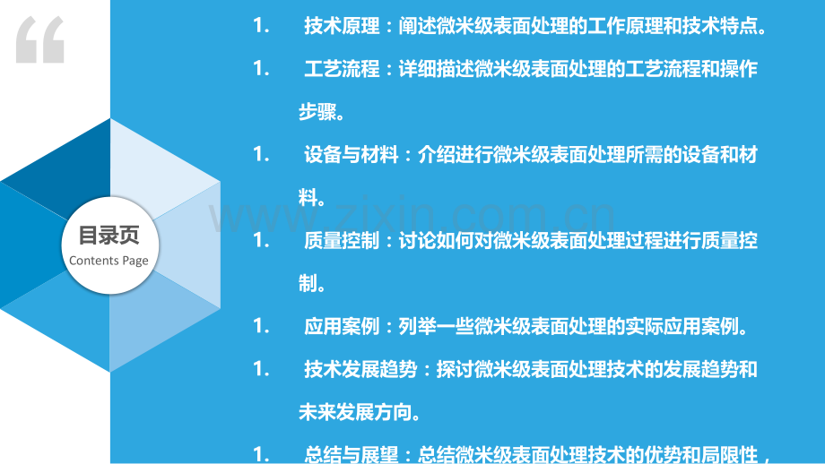 微米级表面处理技术.pptx_第2页