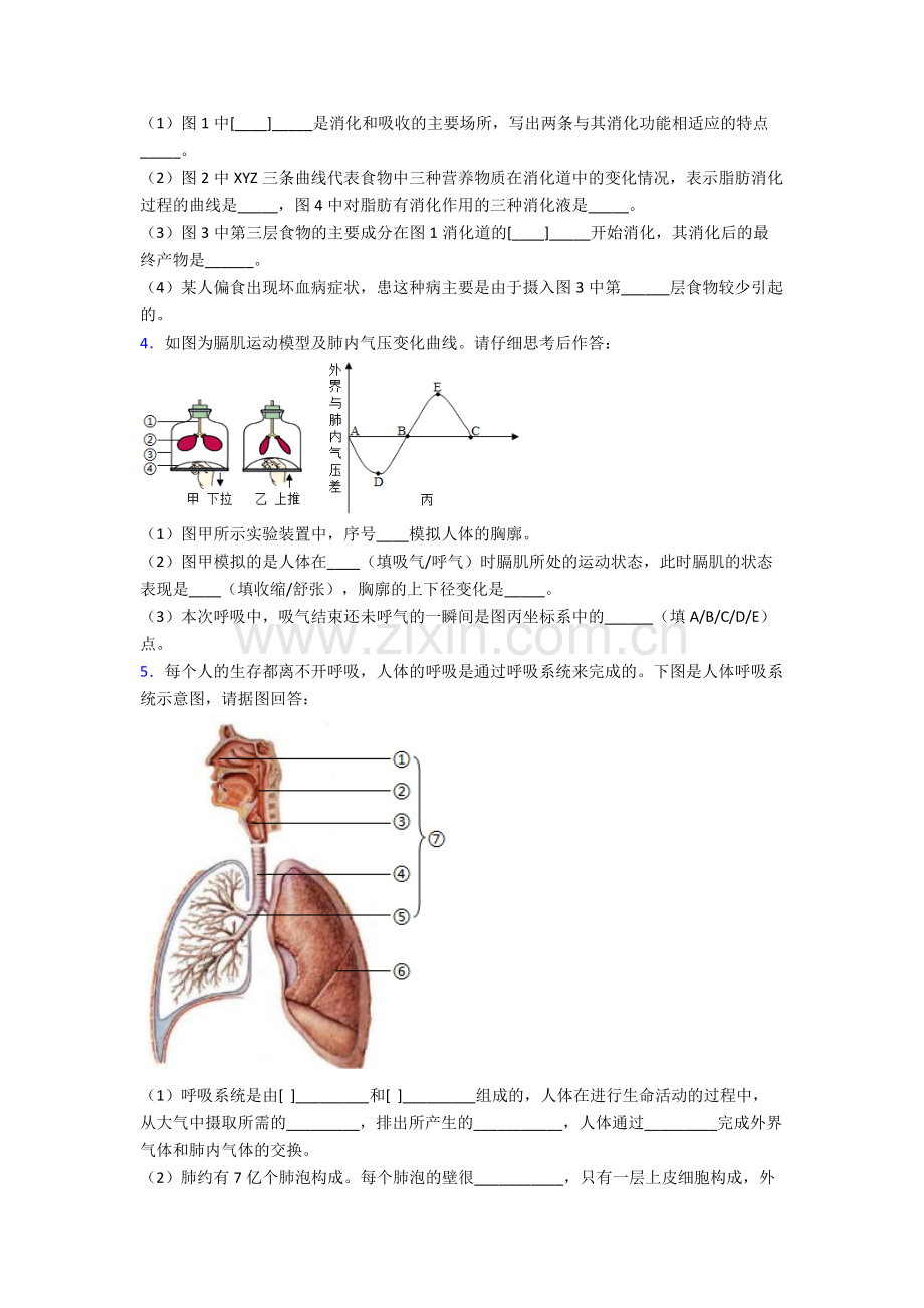 2023年人教版中学初一下册生物期末解答实验探究大题学业水平(附答案).doc_第2页