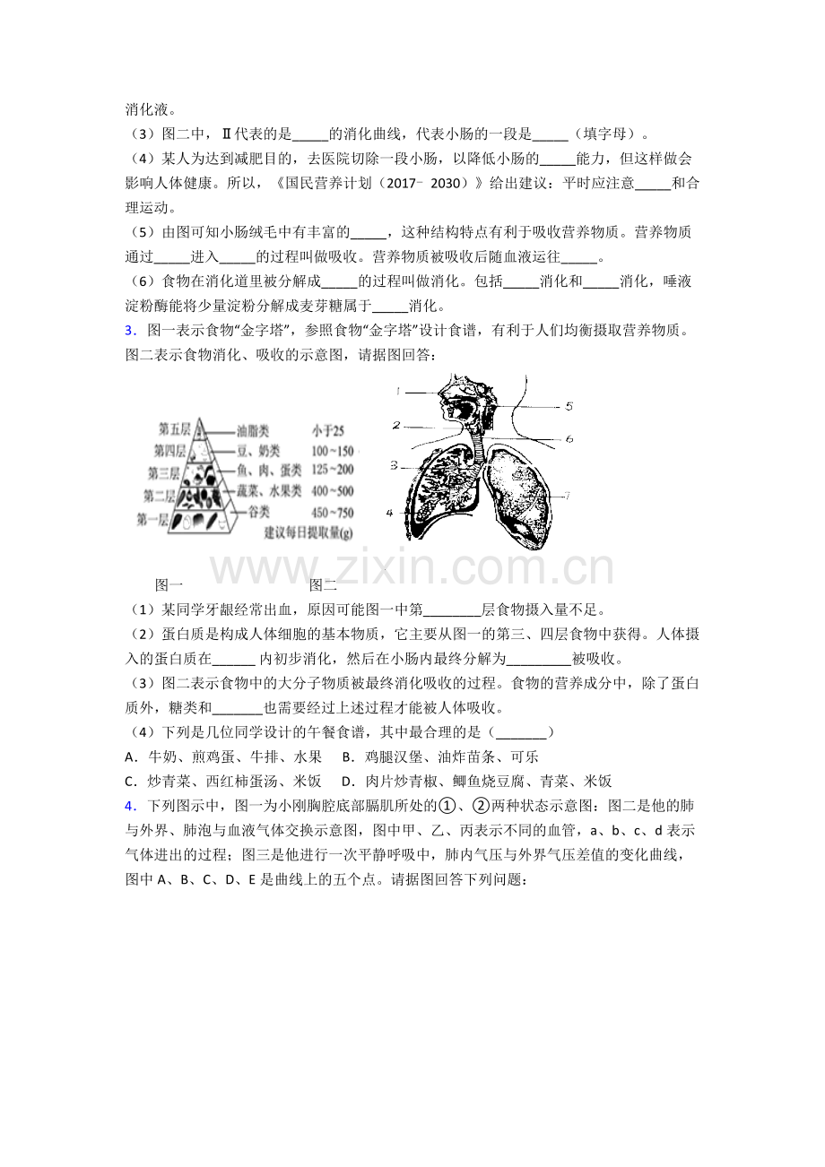 人教版七年级下册生物期末解答实验探究大题质量监测(附答案)图文.doc_第2页