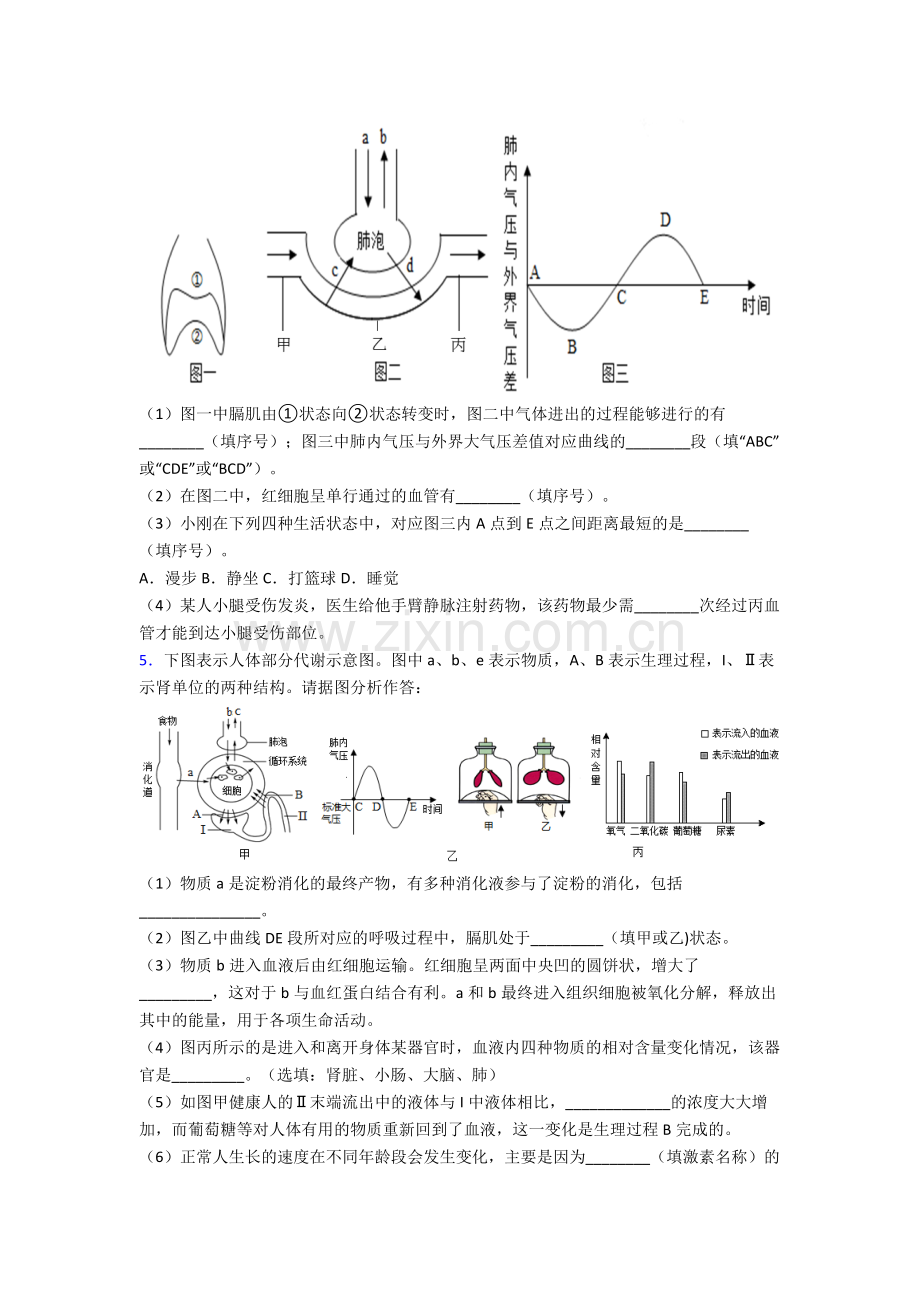 人教版七年级下册生物期末解答实验探究大题质量监测(附答案)图文.doc_第3页