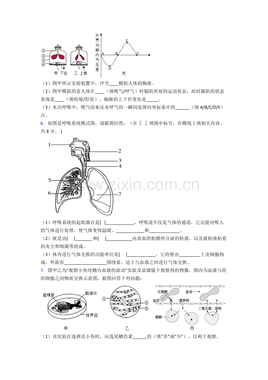 人教版中学七年级下册生物期末解答实验探究大题质量检测试卷附解析优秀.doc_第3页