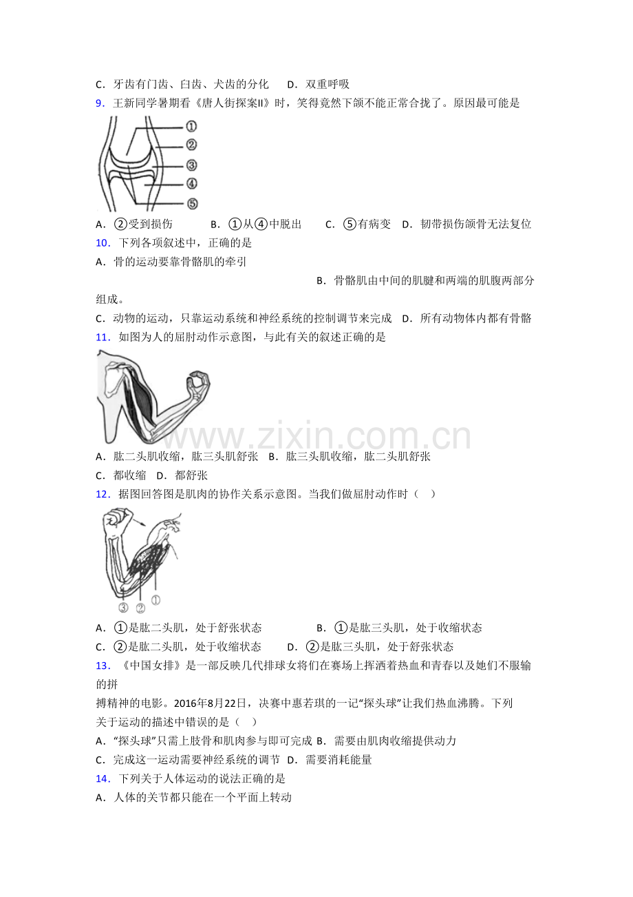 初二上学期期末生物检测试题解析(一).doc_第2页