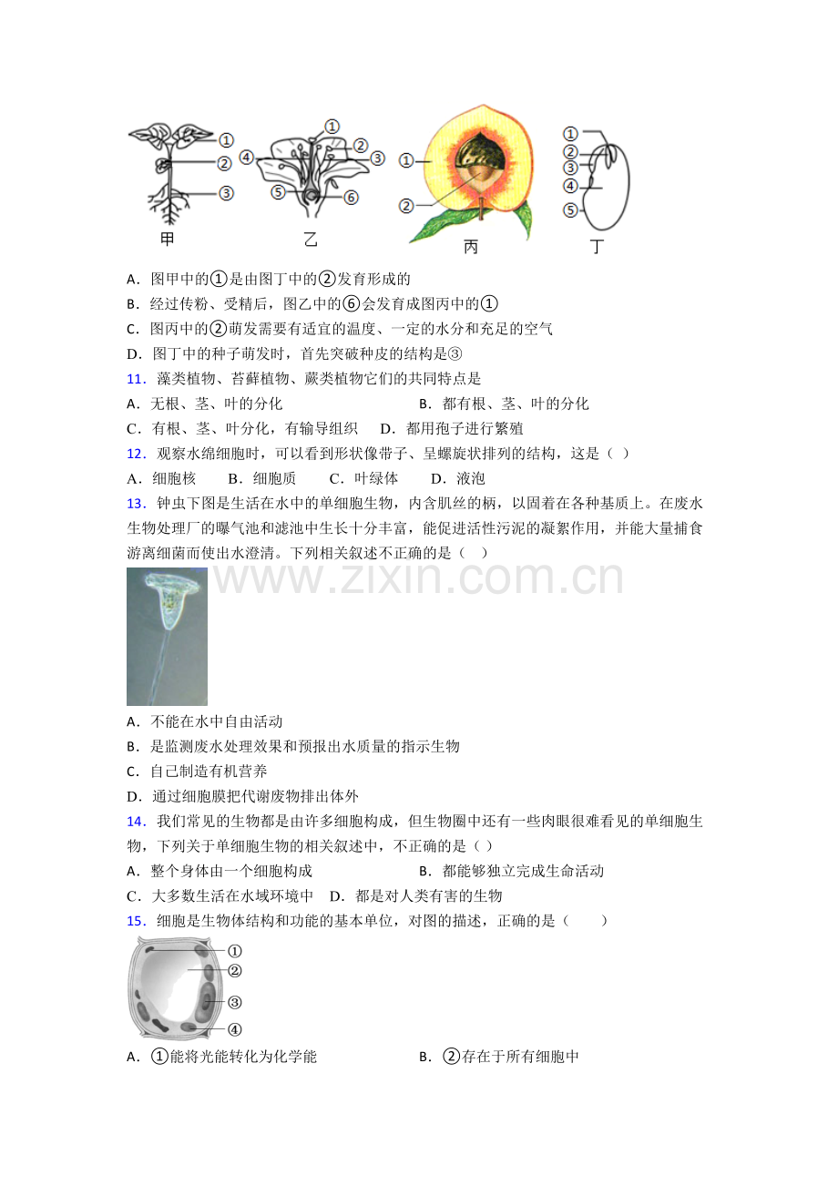 初一上学期期末强化生物检测试卷解析(-)[001].doc_第3页