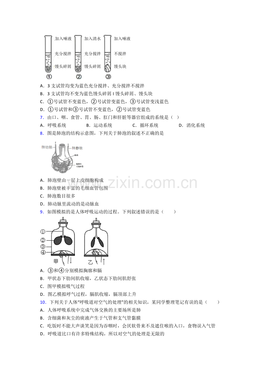 2022年人教版初一下册生物期末质量检测卷含解析.doc_第2页