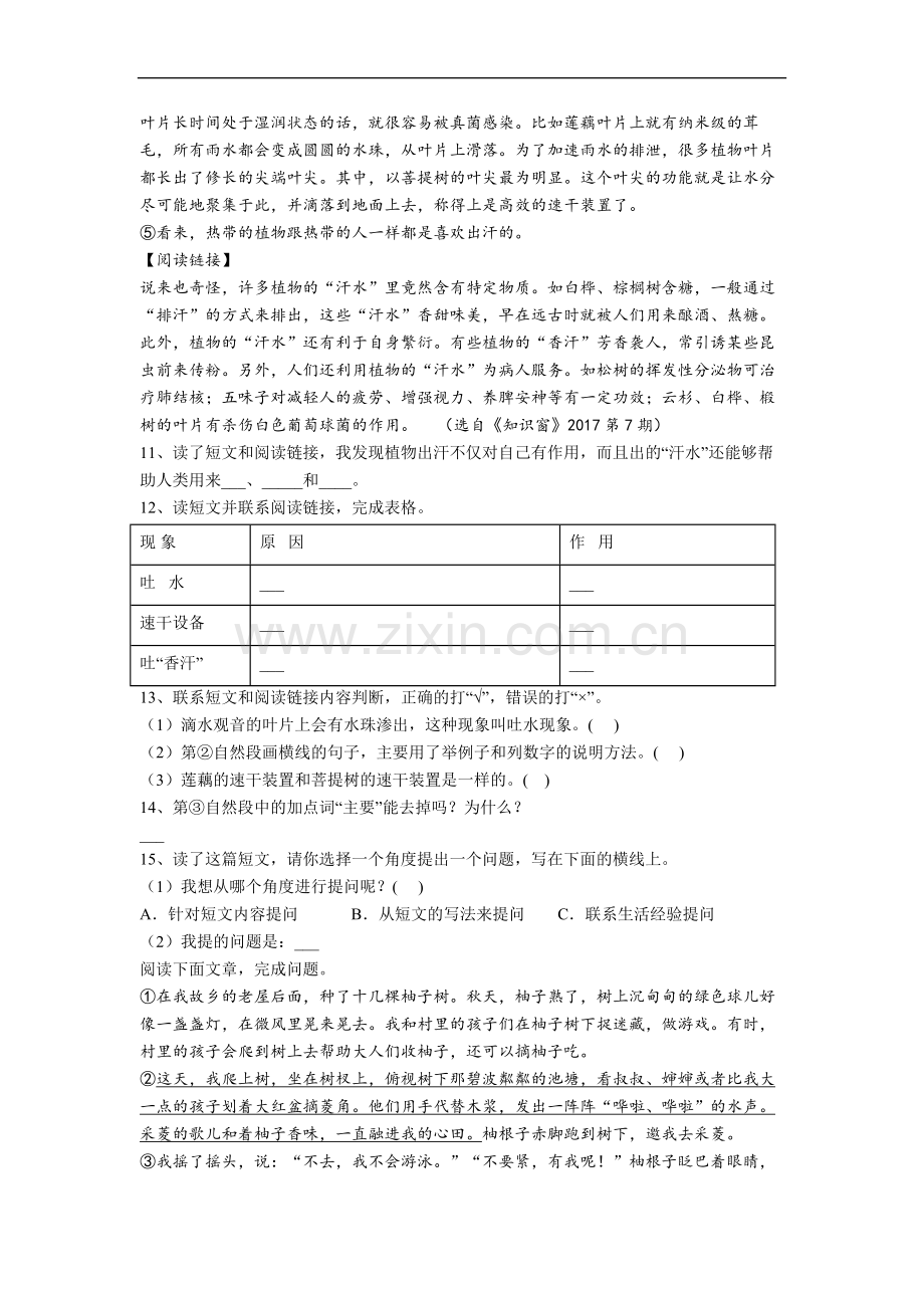 语文小学四年级上学期期中复习综合试卷测试卷(含答案).doc_第3页