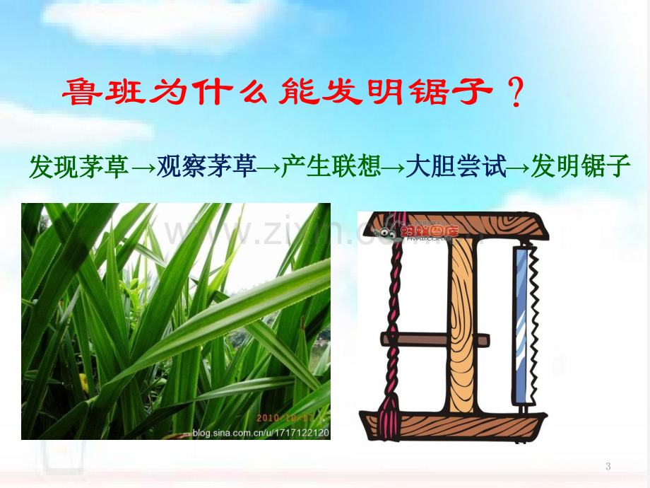 五上科学茅草与锯子.ppt_第3页