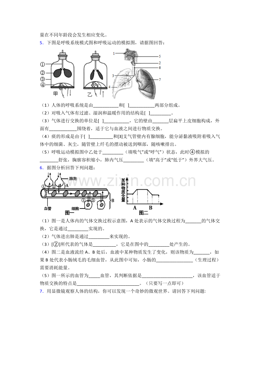 人教中学七年级下册生物期末解答实验探究大题测试题(含解析).doc_第3页