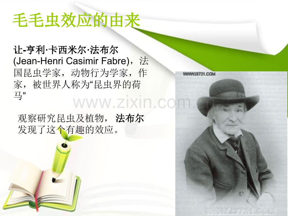 心理学效应之毛毛虫效应.ppt_第3页