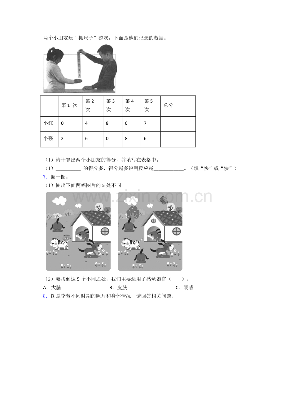 二年级科学下册期末实验复习试卷试卷(word版含答案).doc_第3页