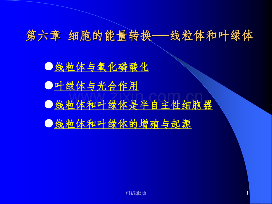 细胞的能量转换-线粒体和叶绿体.ppt_第1页