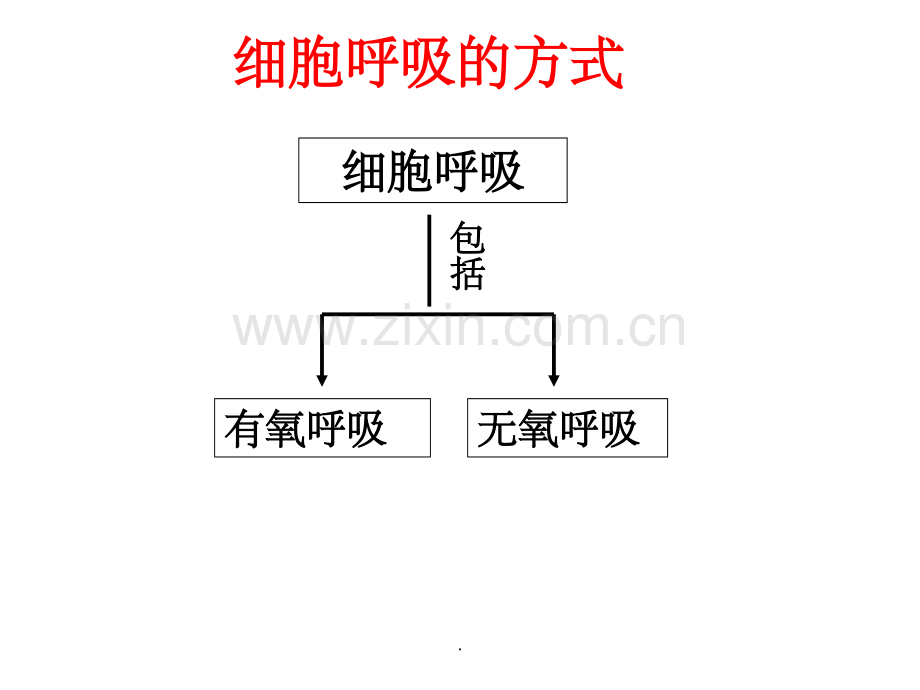 细胞有氧呼吸.ppt_第2页