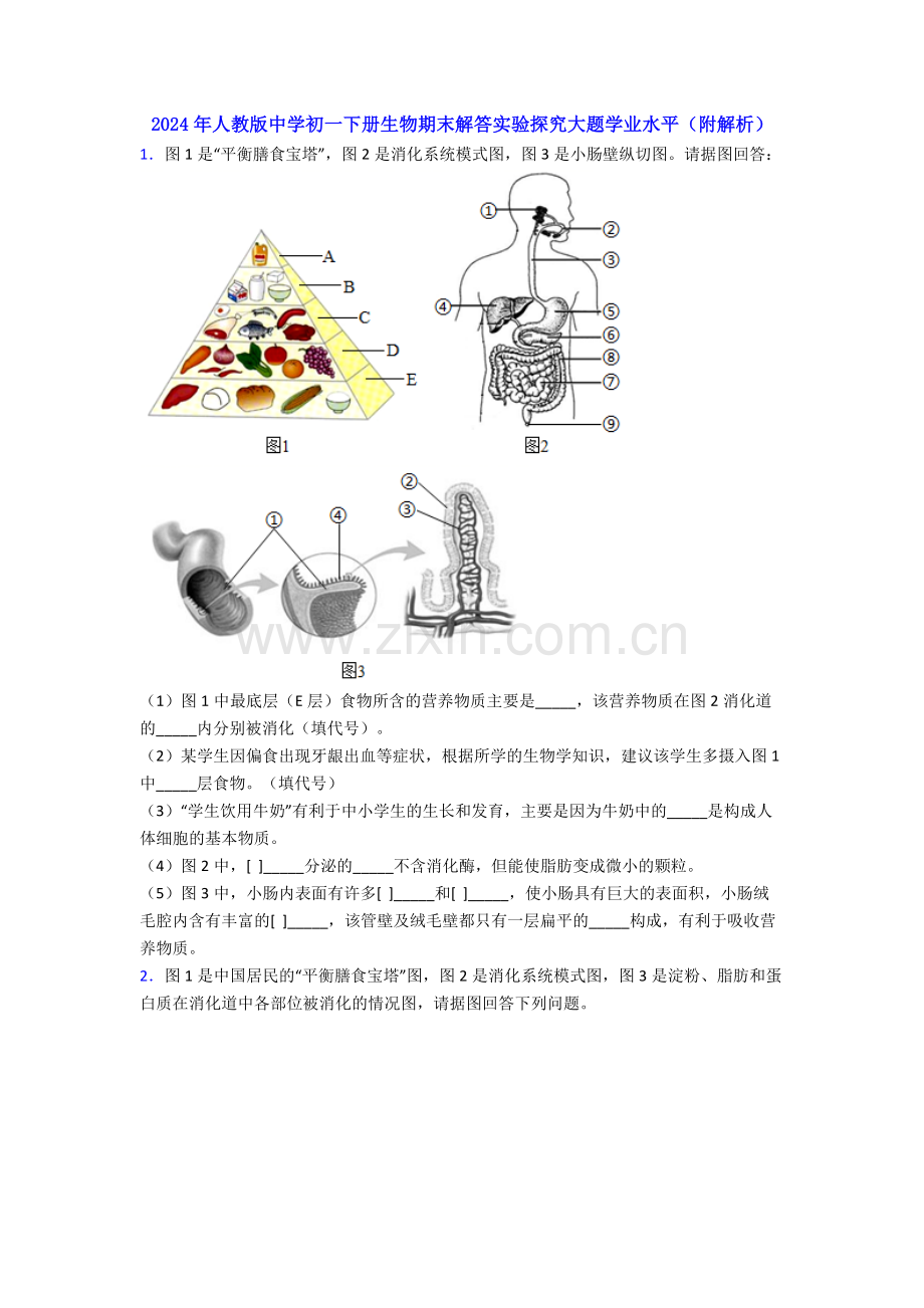 2024年人教版中学初一下册生物期末解答实验探究大题学业水平(附解析).doc_第1页