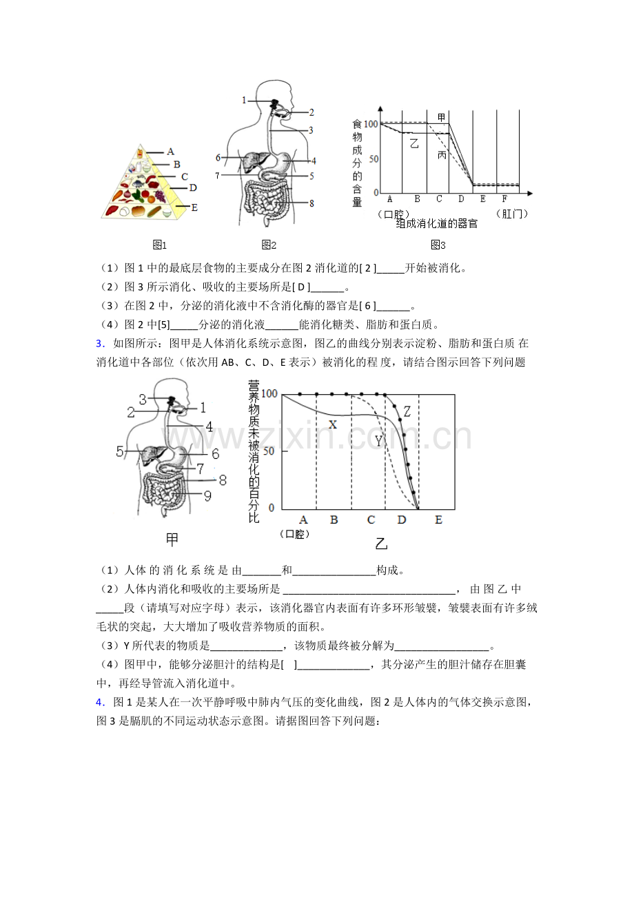 2024年人教版中学初一下册生物期末解答实验探究大题学业水平(附解析).doc_第2页