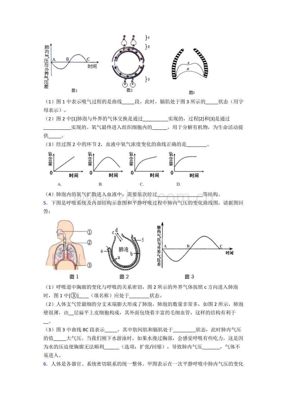 2024年人教版中学初一下册生物期末解答实验探究大题学业水平(附解析).doc_第3页