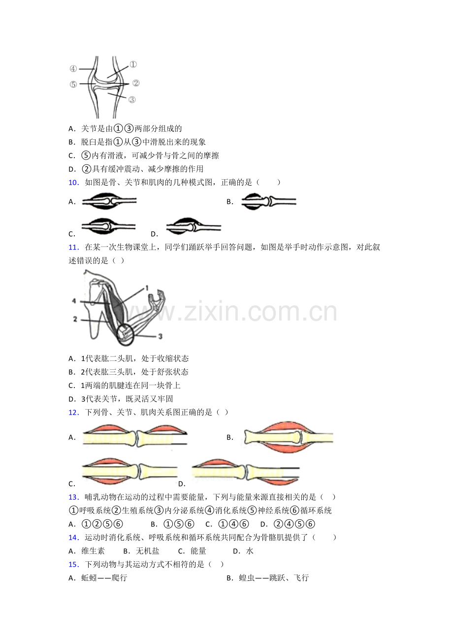 八年级上册期末模拟生物综合试卷.doc_第2页