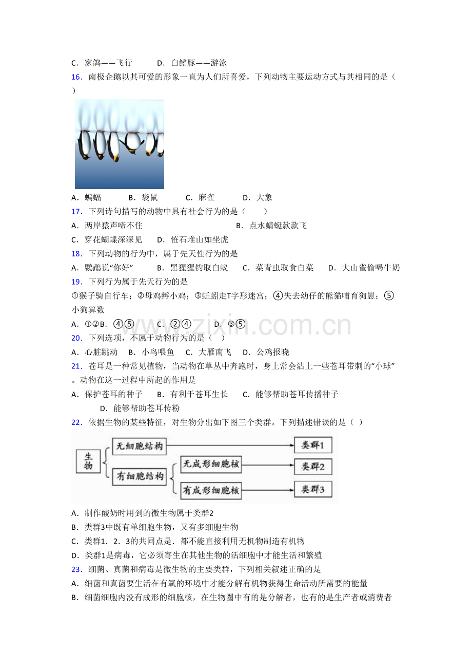 八年级上册期末模拟生物综合试卷.doc_第3页