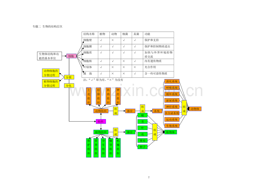 初中生物思维导图大全.docx_第2页