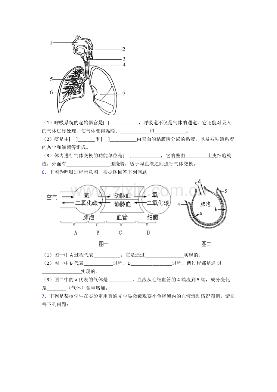 人教版七年级下册生物期末解答实验探究大题复习卷(附答案).doc_第3页