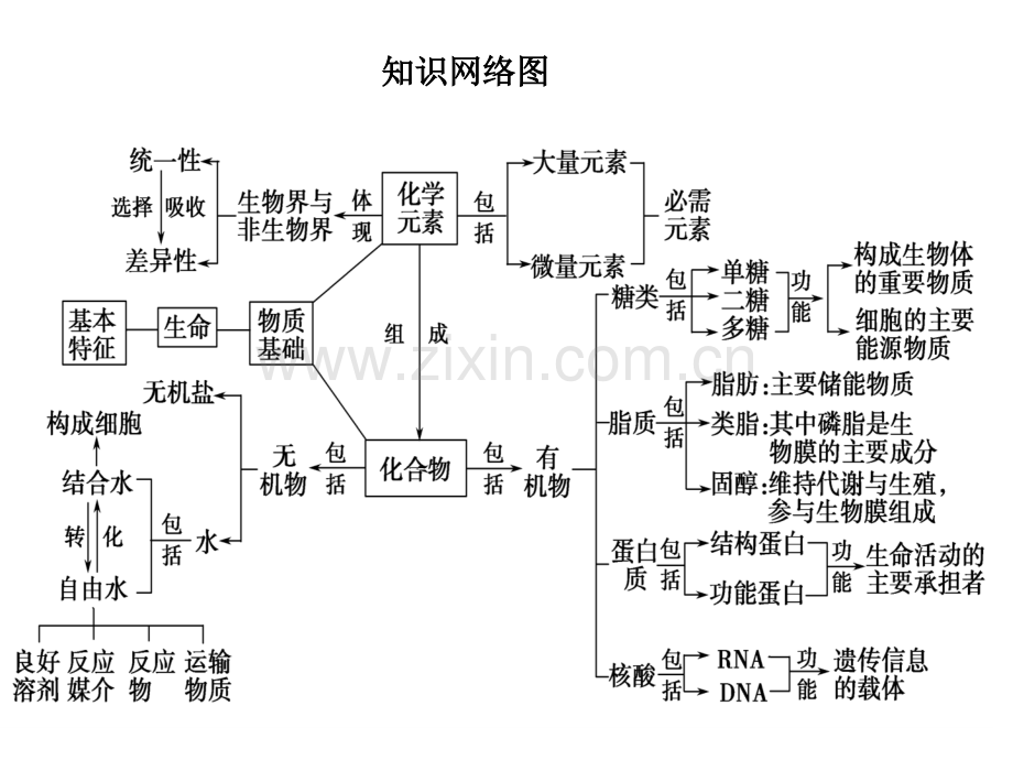 专题一--细胞的分子组成.ppt_第2页