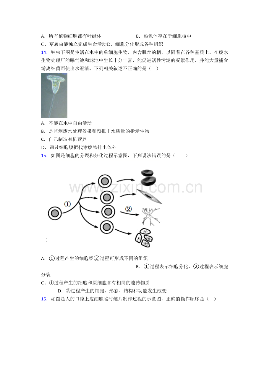 生物七年级上学期期末模拟综合试题(-)-(2).doc_第3页