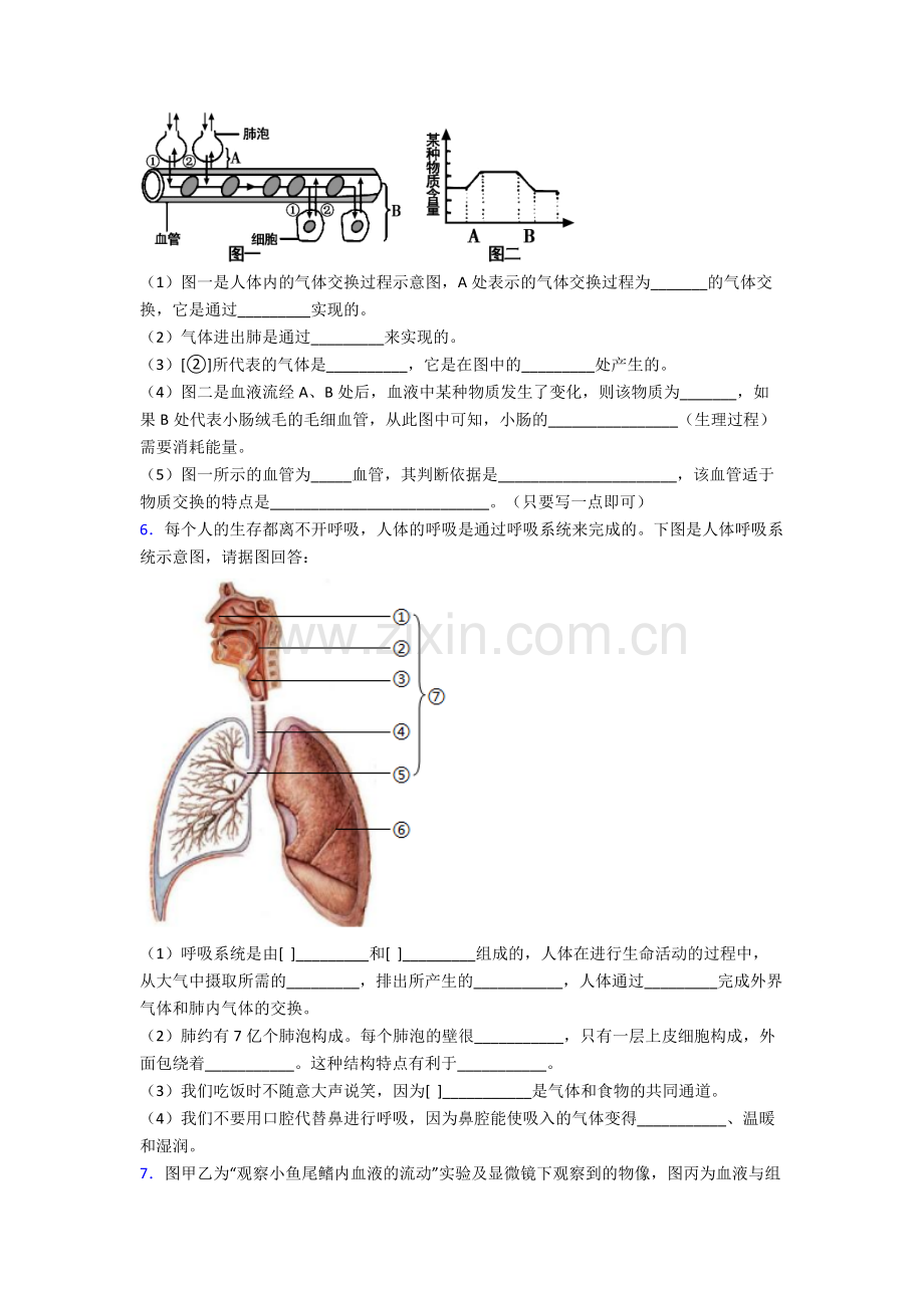 人教版中学七年级下册生物期末解答实验探究大题测试(含答案).doc_第3页