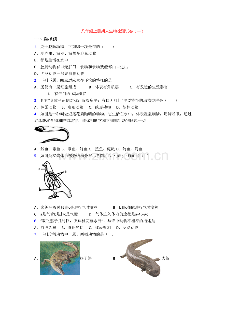 八年级上册期末生物检测试卷(一).doc_第1页