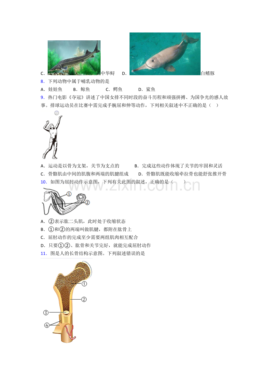 八年级上册期末生物检测试卷(一).doc_第2页