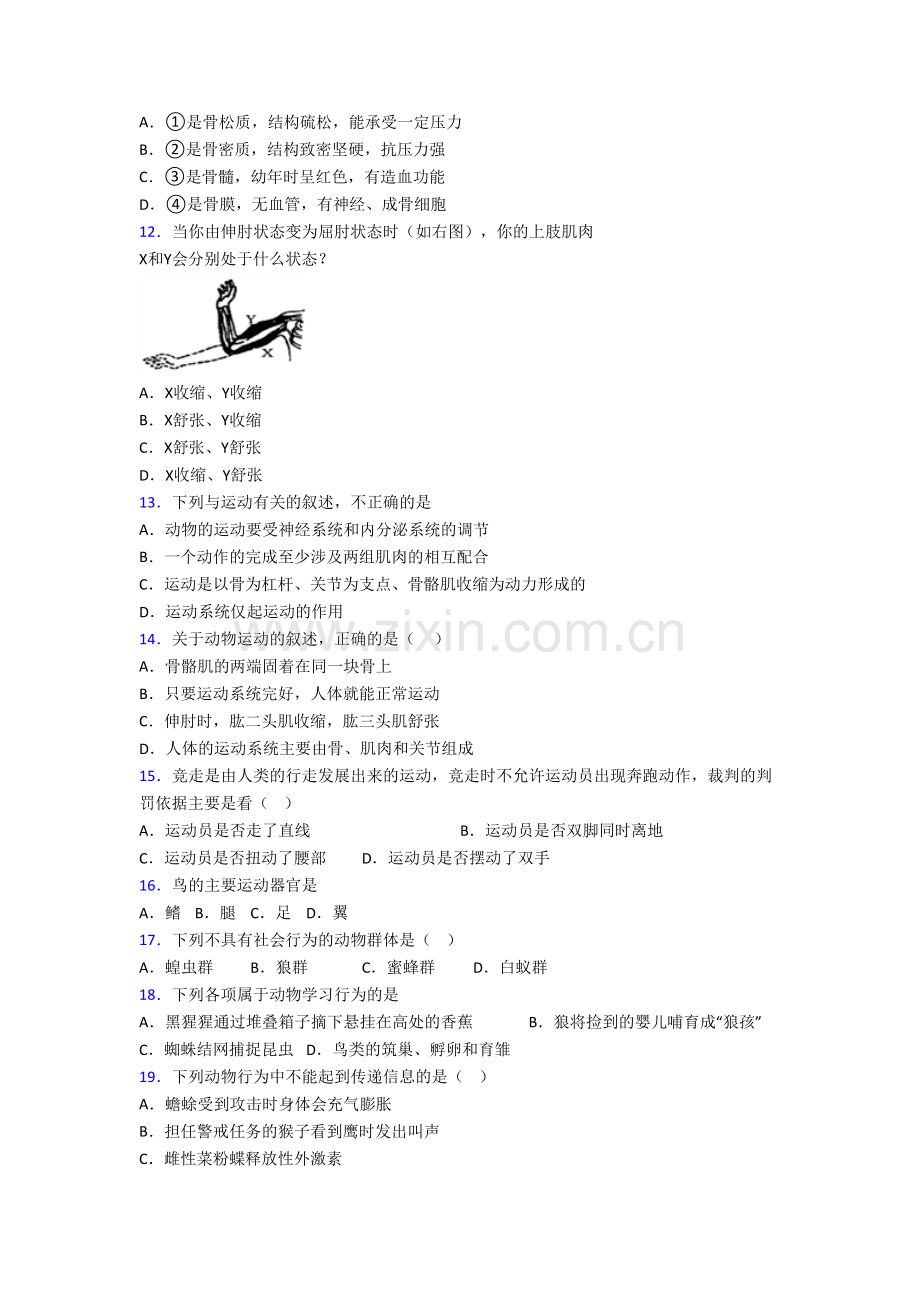 八年级上册期末生物检测试卷(一).doc_第3页