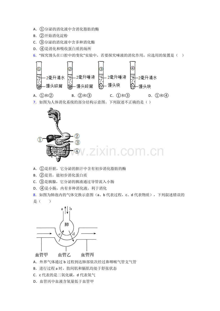 2022年人教版中学初一下册生物期中复习卷及答案word.doc_第2页