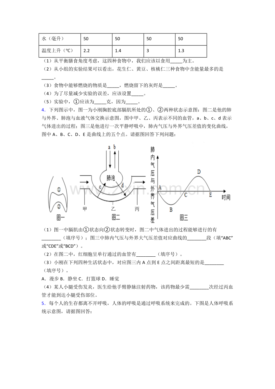 人教版中学初一下册生物期末解答实验探究大题学业水平试卷(及答案).doc_第2页