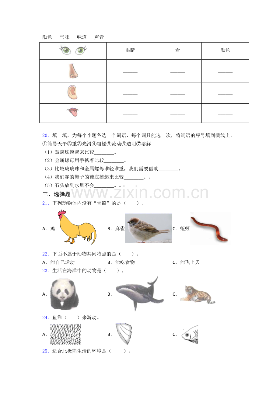 一年级下册科学期末试卷测试与练习(word解析版).doc_第3页