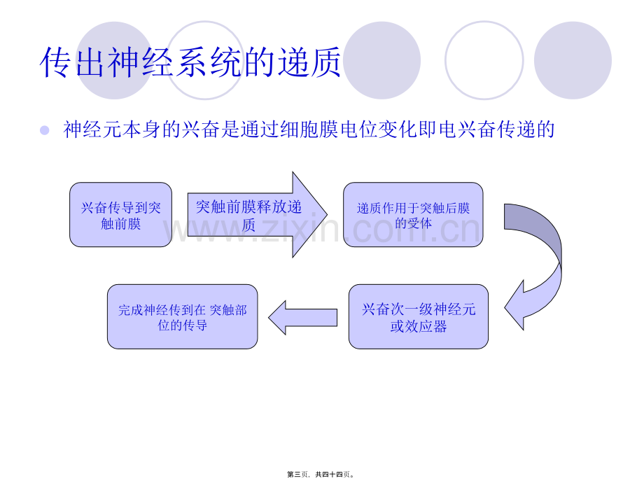 传出神经系统药理-图文.pptx_第2页